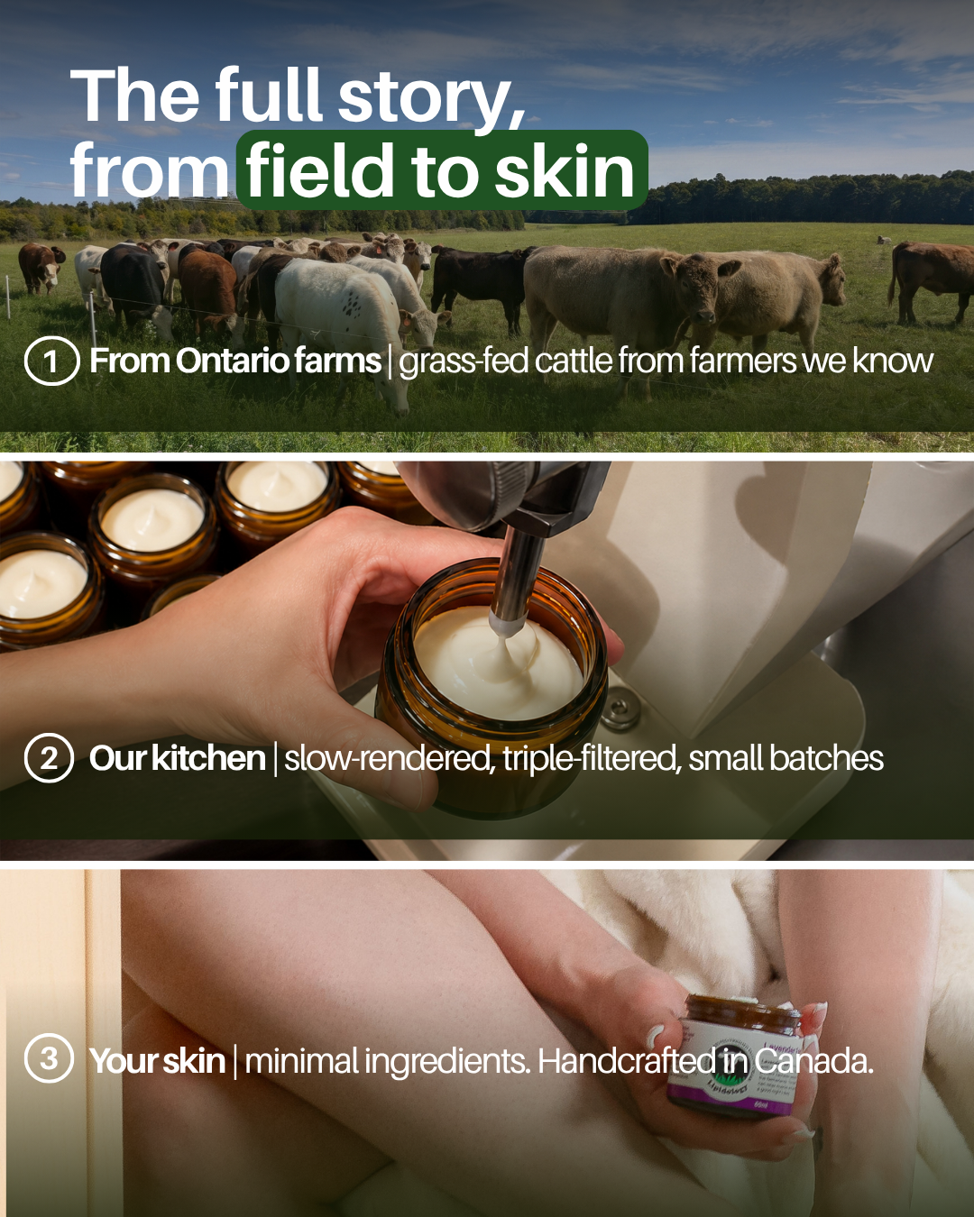 Why Lipidology Tallow?