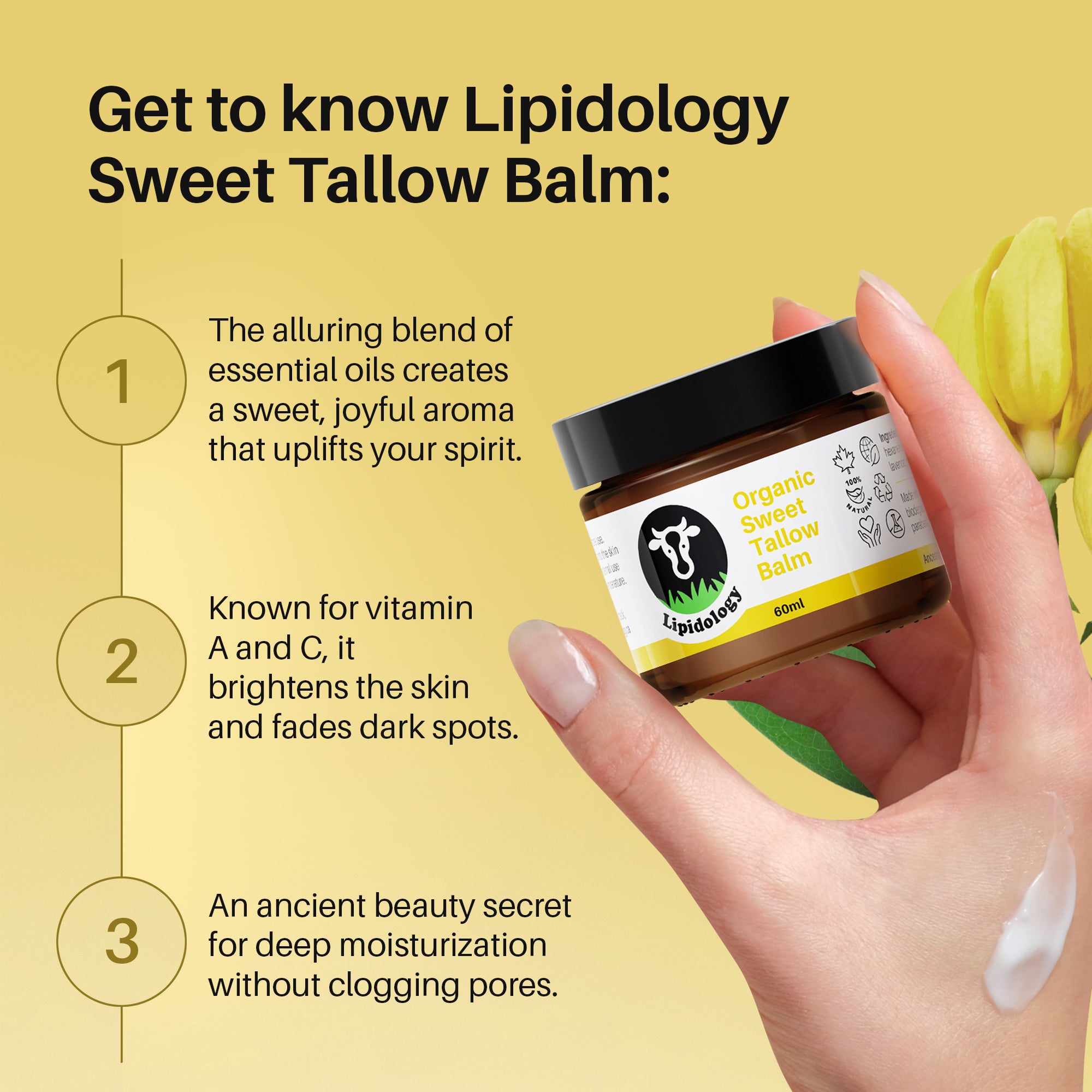 Organic Tallow Balm: Lavender, Vanilla, Ylang Ylang, Bergamot 60 ml