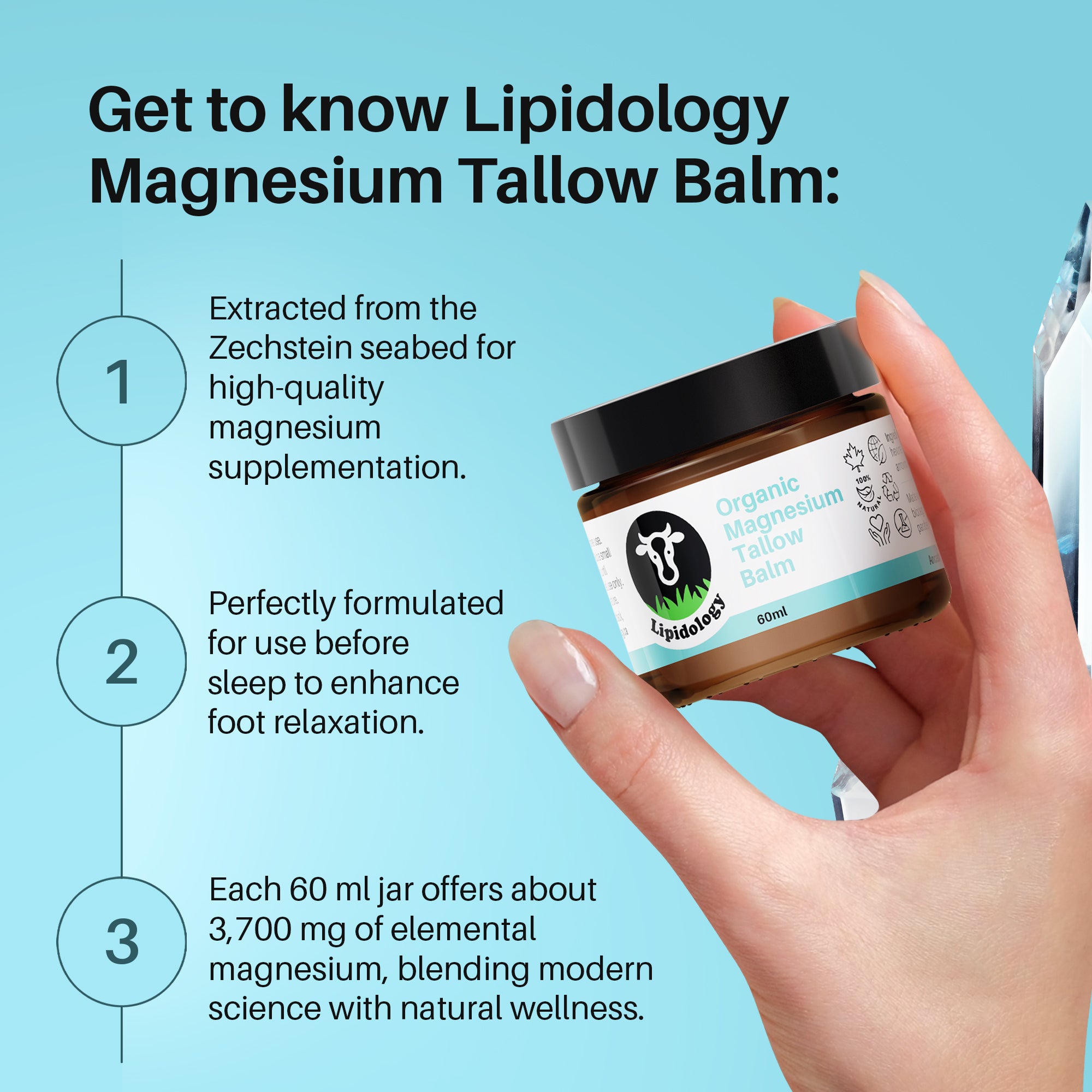 Organic Magnesium Tallow Cream, Unscented, 60 ml