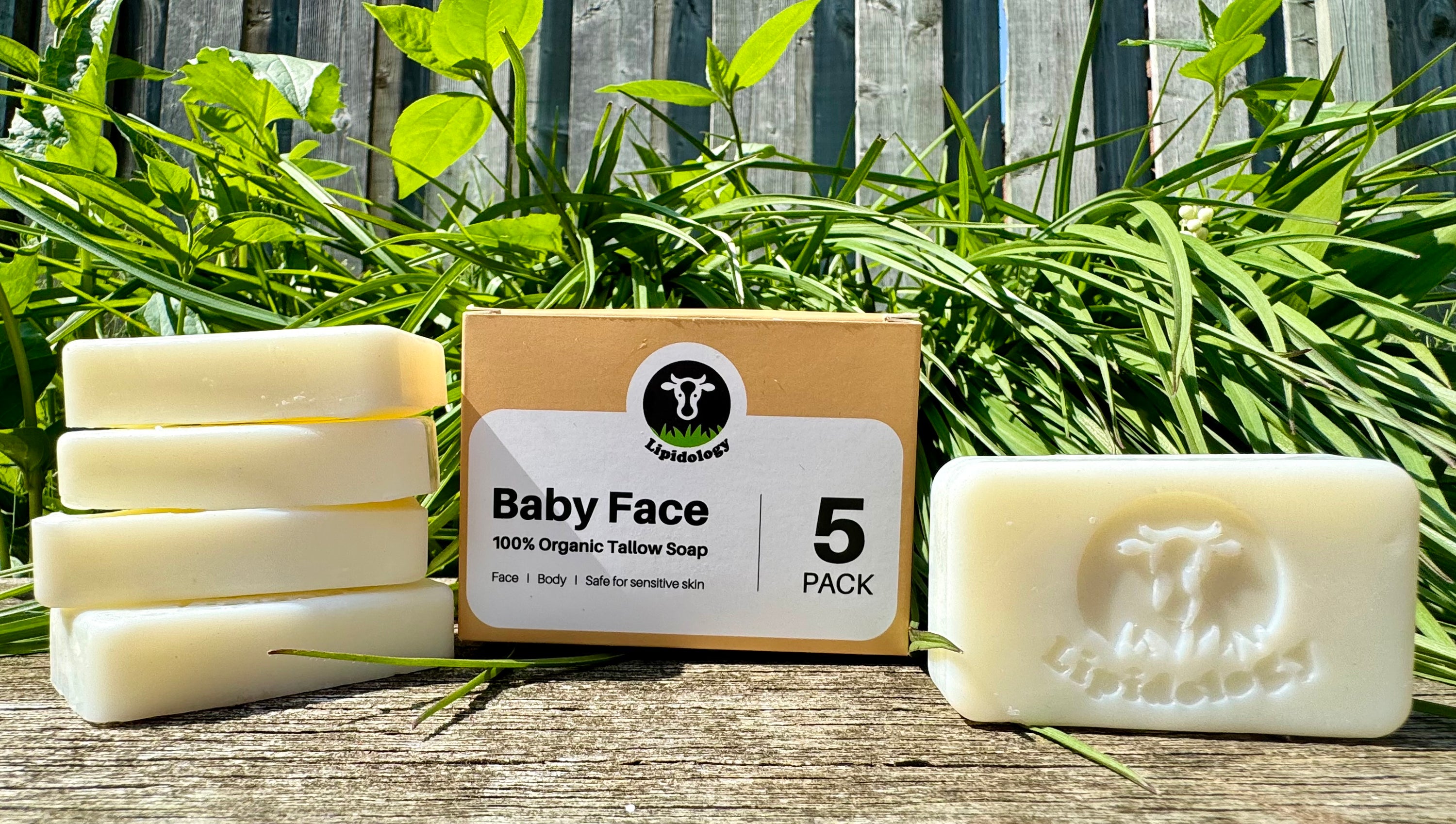 Baby Face: Organic Tallow Face Soap 60g each, 5 PACK - Lipidology