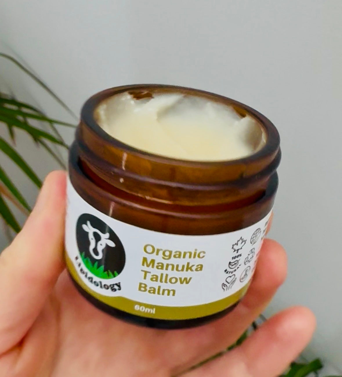 Organic Manuka Tallow Balm, 60 ml