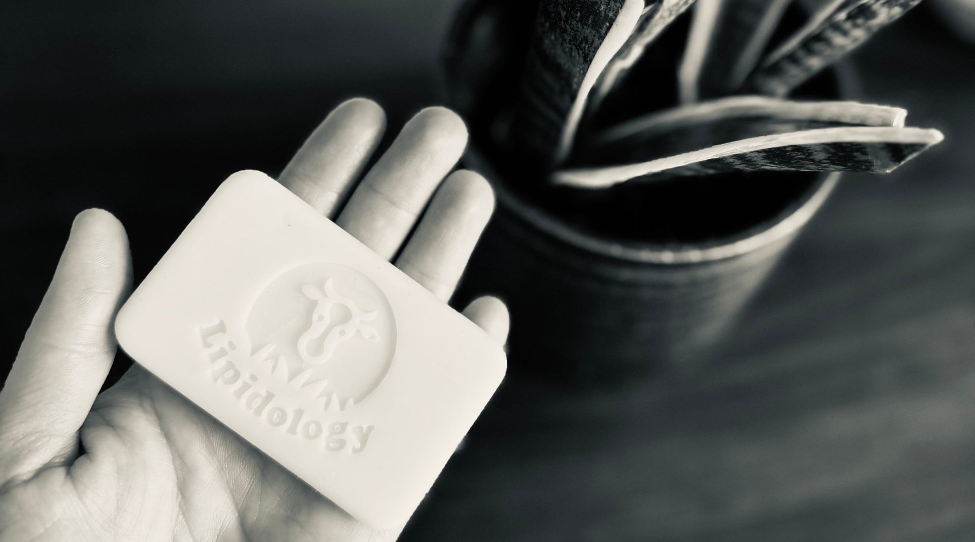 Bar of soap with a lipidology logo held in a hand